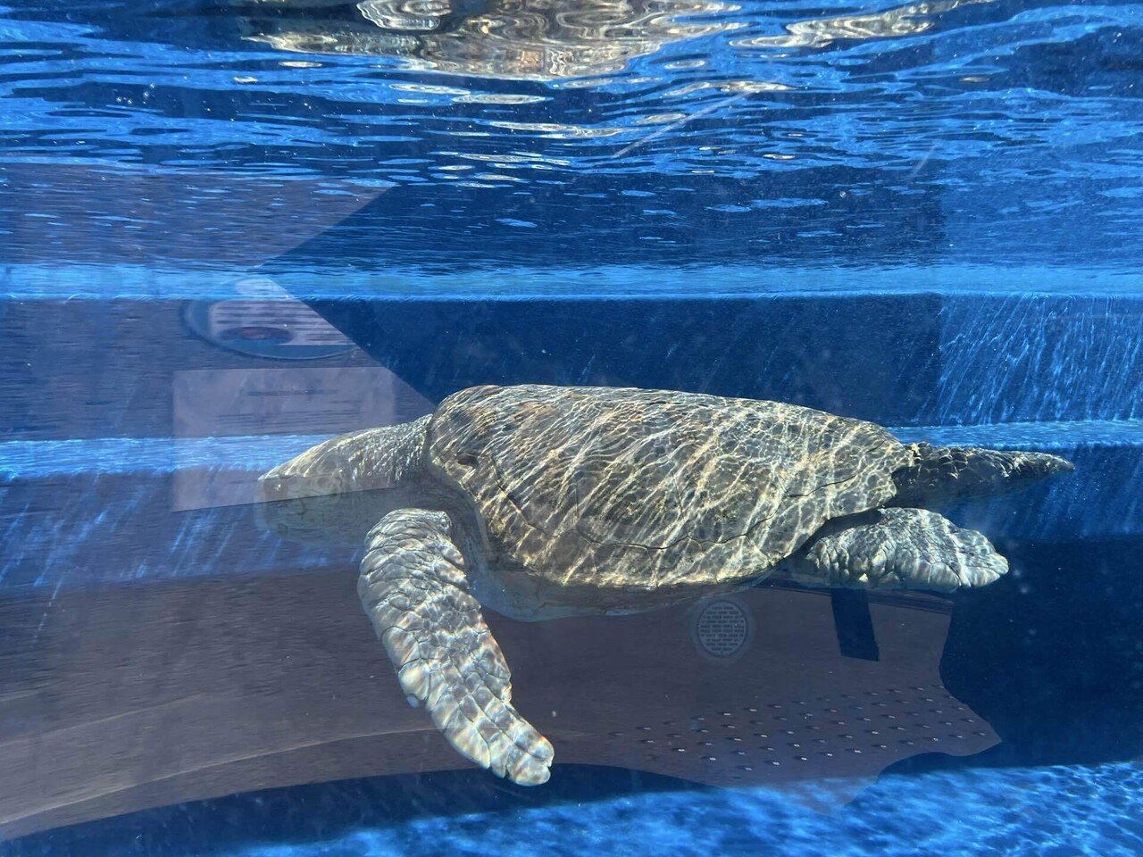 徳島、39歳1日目｜天野夏海
