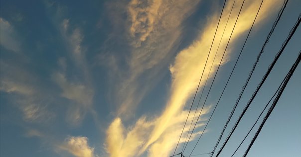 短冊 公家 正親町寛連 日野弘資 冷泉為久 肉筆 短歌 俳句 江戸時代まくり 短冊 公家 正親町寛連 日野弘資 冷泉為久 肉筆 短歌 俳句 江戸