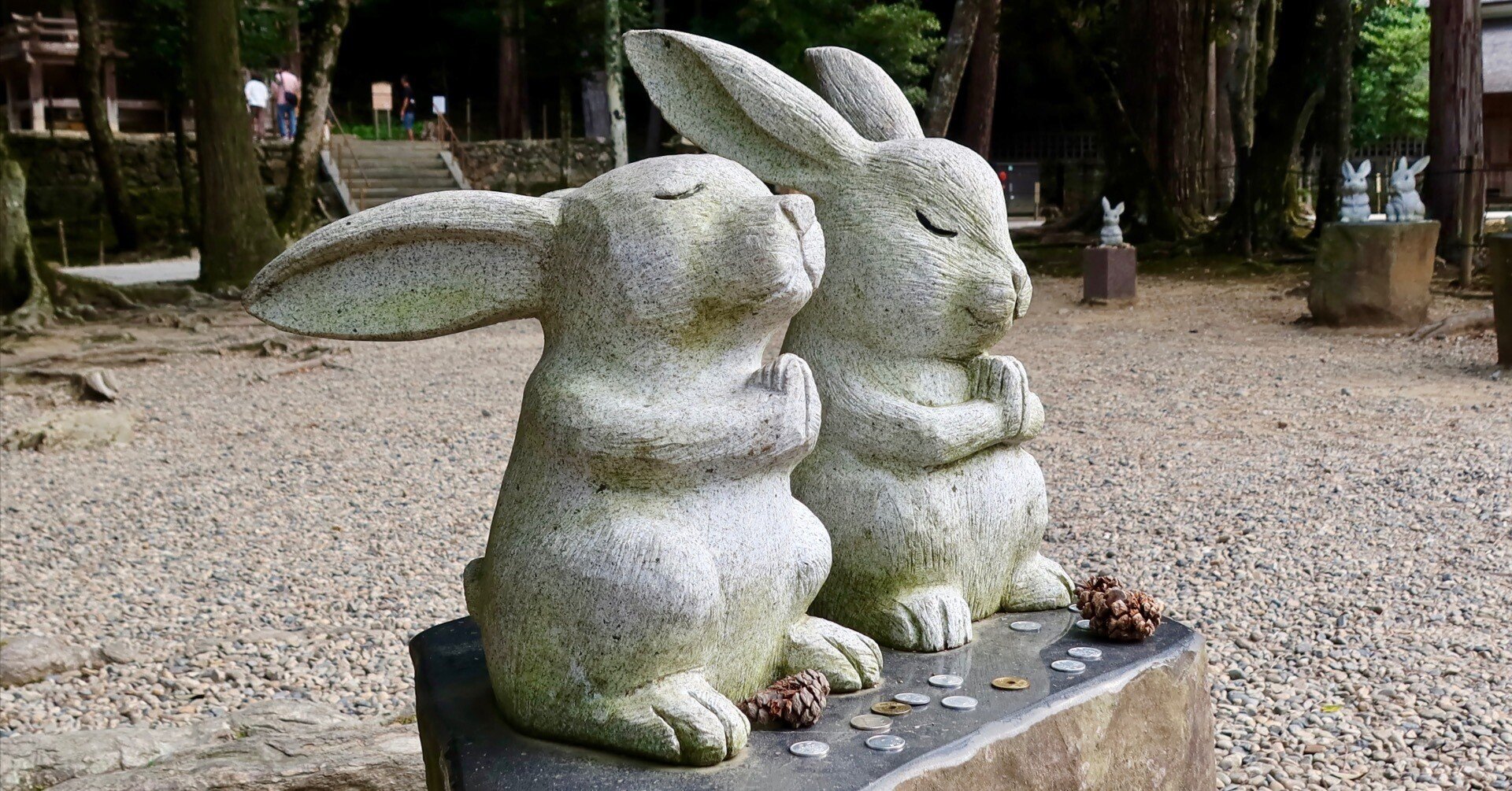 c74e0a8e73a05169b39174860e397b