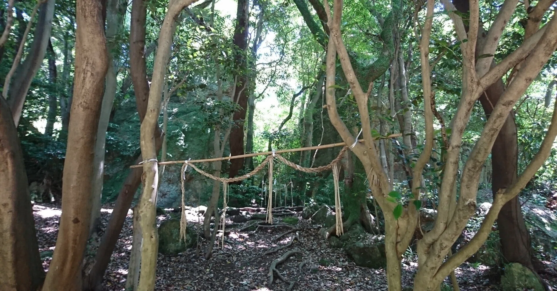 立石（たていわ）神社｜ふらっと神社