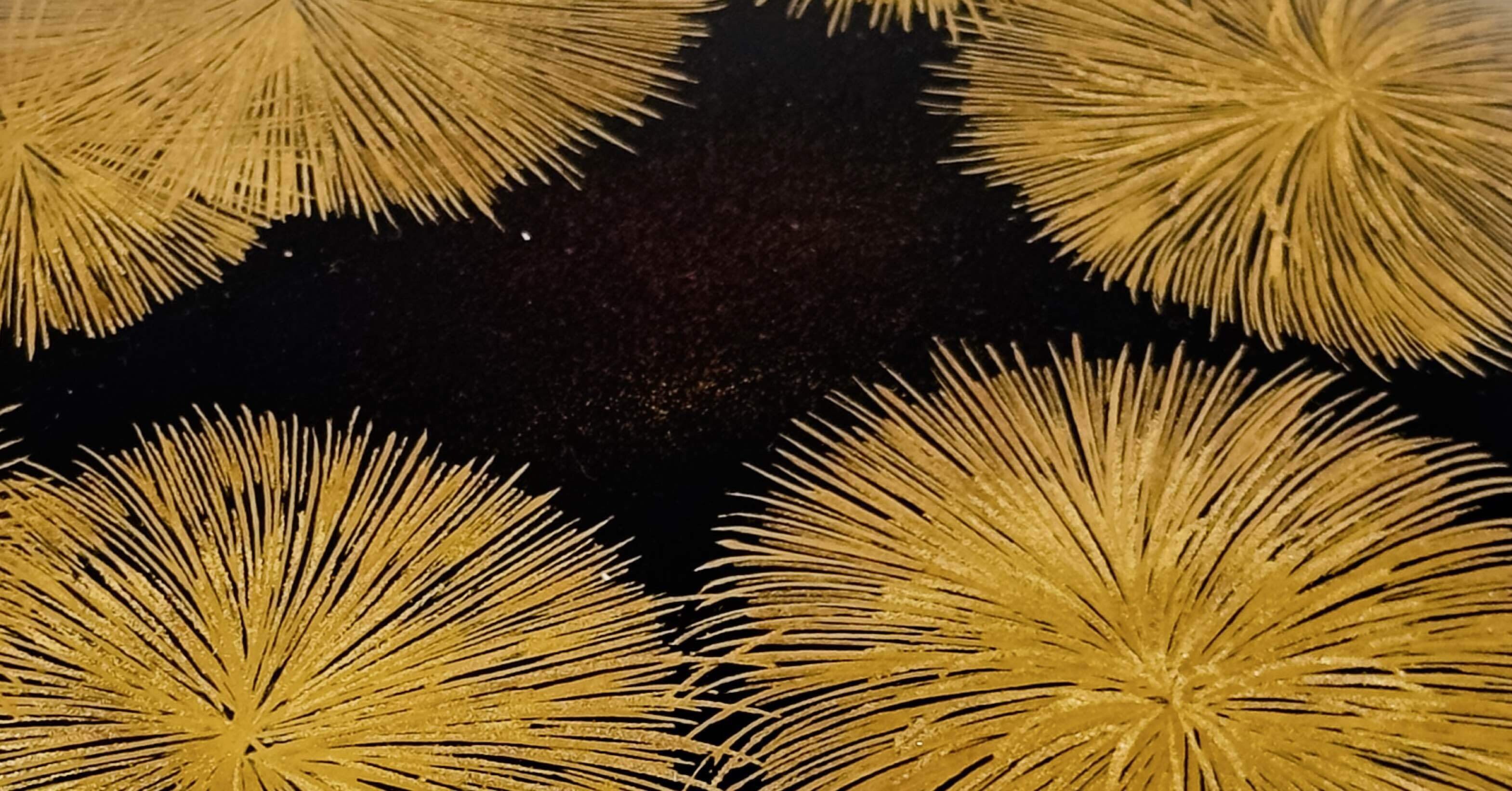 漆蒔絵　鯉　真保由斎　作 漆蒔絵 鯉 真保由斎 作