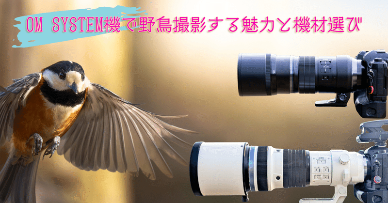 機材レビュー｜もみじ卍ゅう/写真愛好家｜note