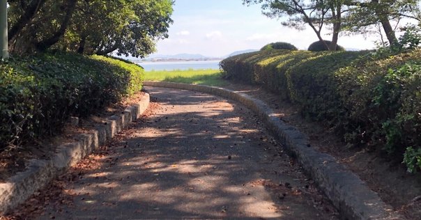 赤い公園　ブレーメンとあるく 514bdXQ-jUL._UF350,350_QL80_.jpg