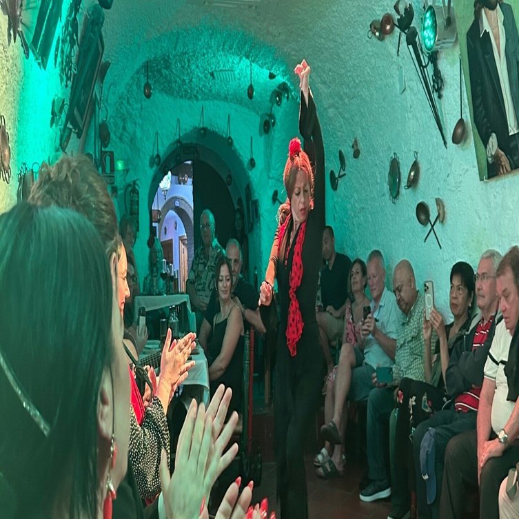 中古レコード パンテラ プロジェクツインザジャングル ファンクラブ