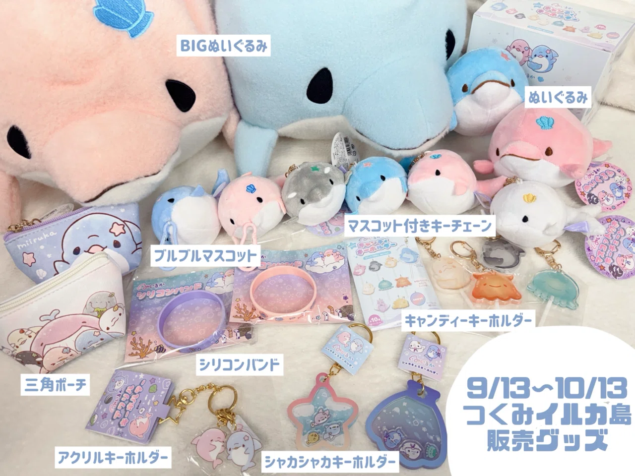 終了)9/13【大分】つくみイルカ島イベント｜みいるか🐬🎨