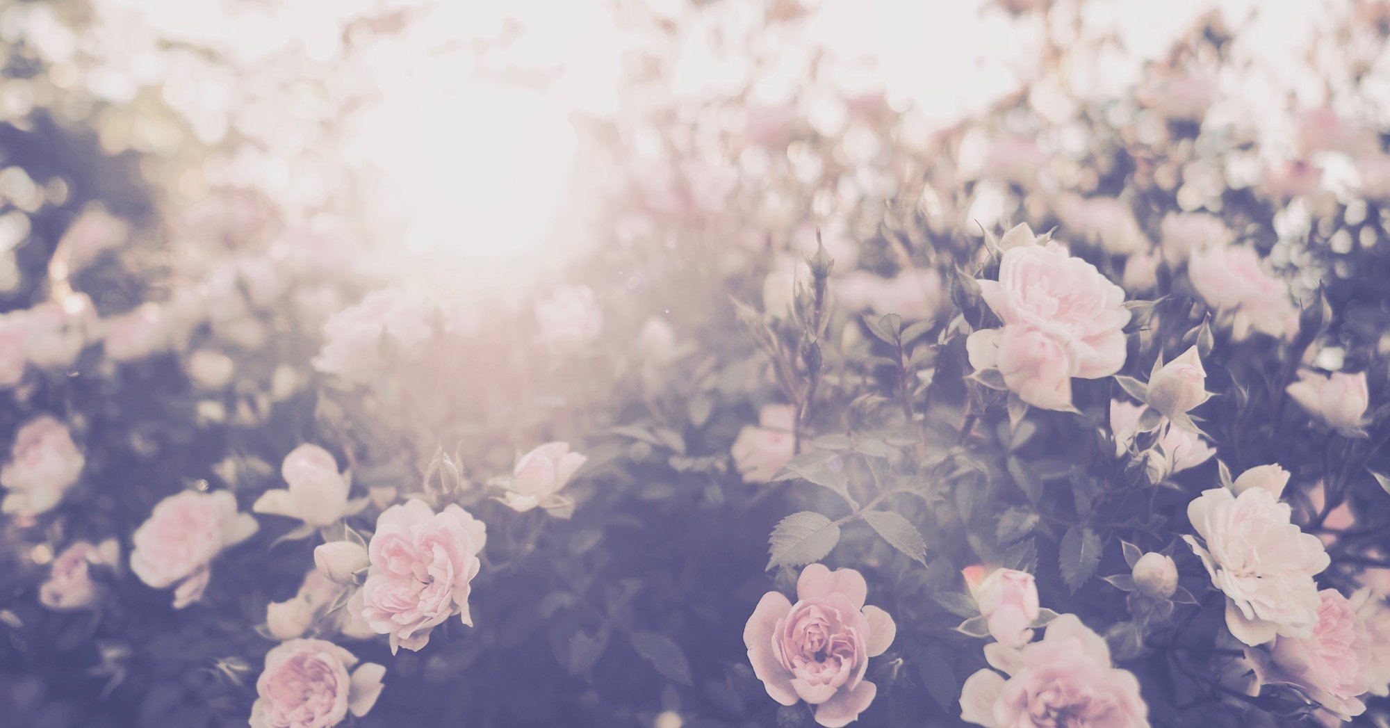 くるりの歌詞 雨が多いなあ と思ったので メジャー以降全0曲調べました さより Note くるりの歌詞 雨が多いなあ と思ったので メジャー以降全0曲調べました さより Note