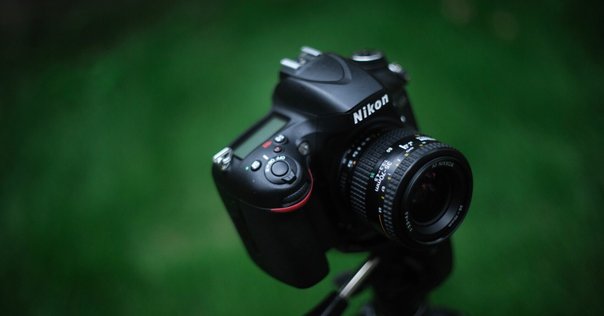 ニコン】祝20周年！Nikon D70を使う。D60も。｜ryosukewexer