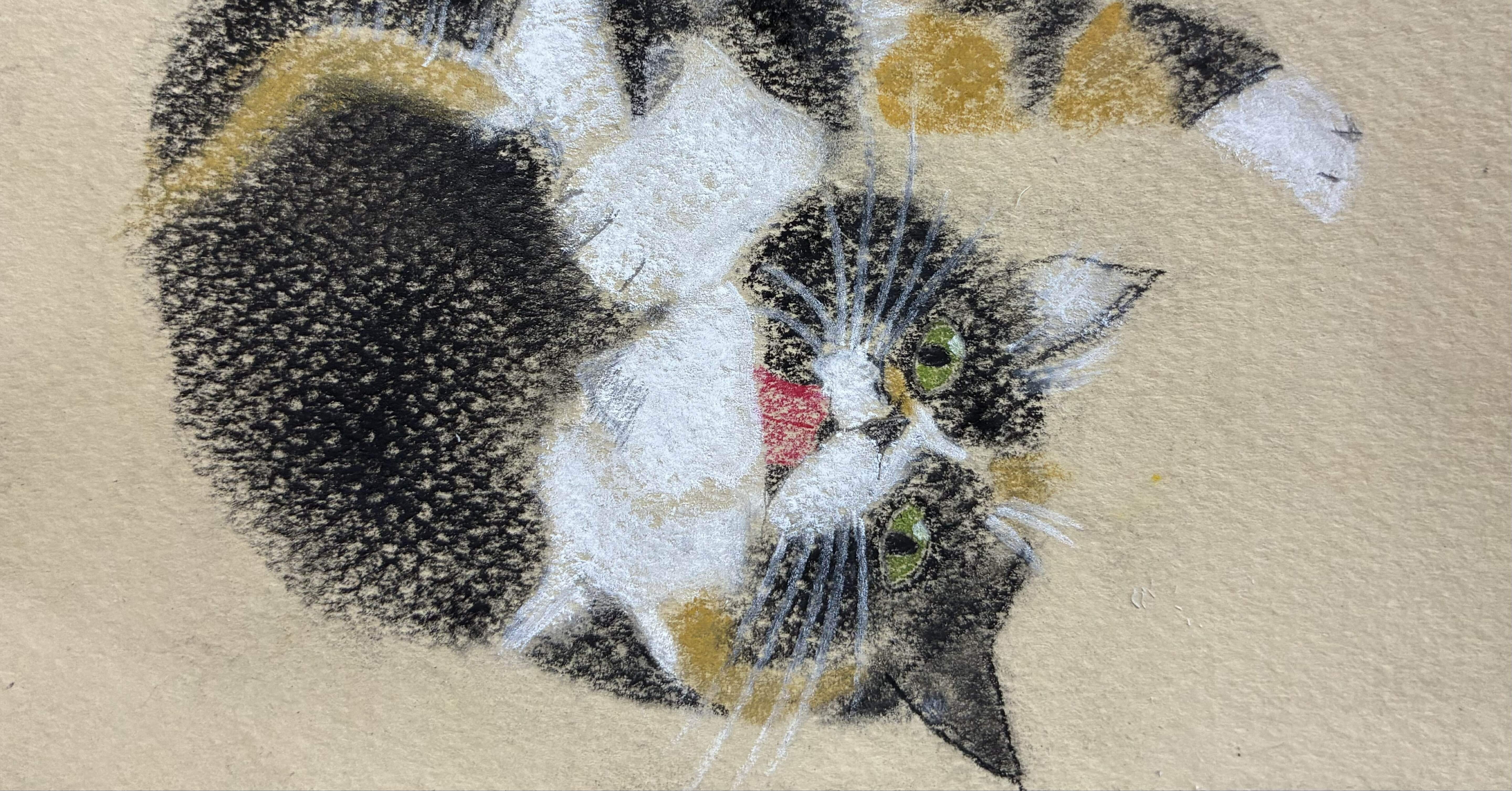 三毛猫のパステル画です。｜まる
