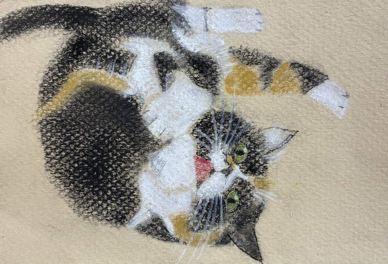 三毛猫のパステル画です。｜まる