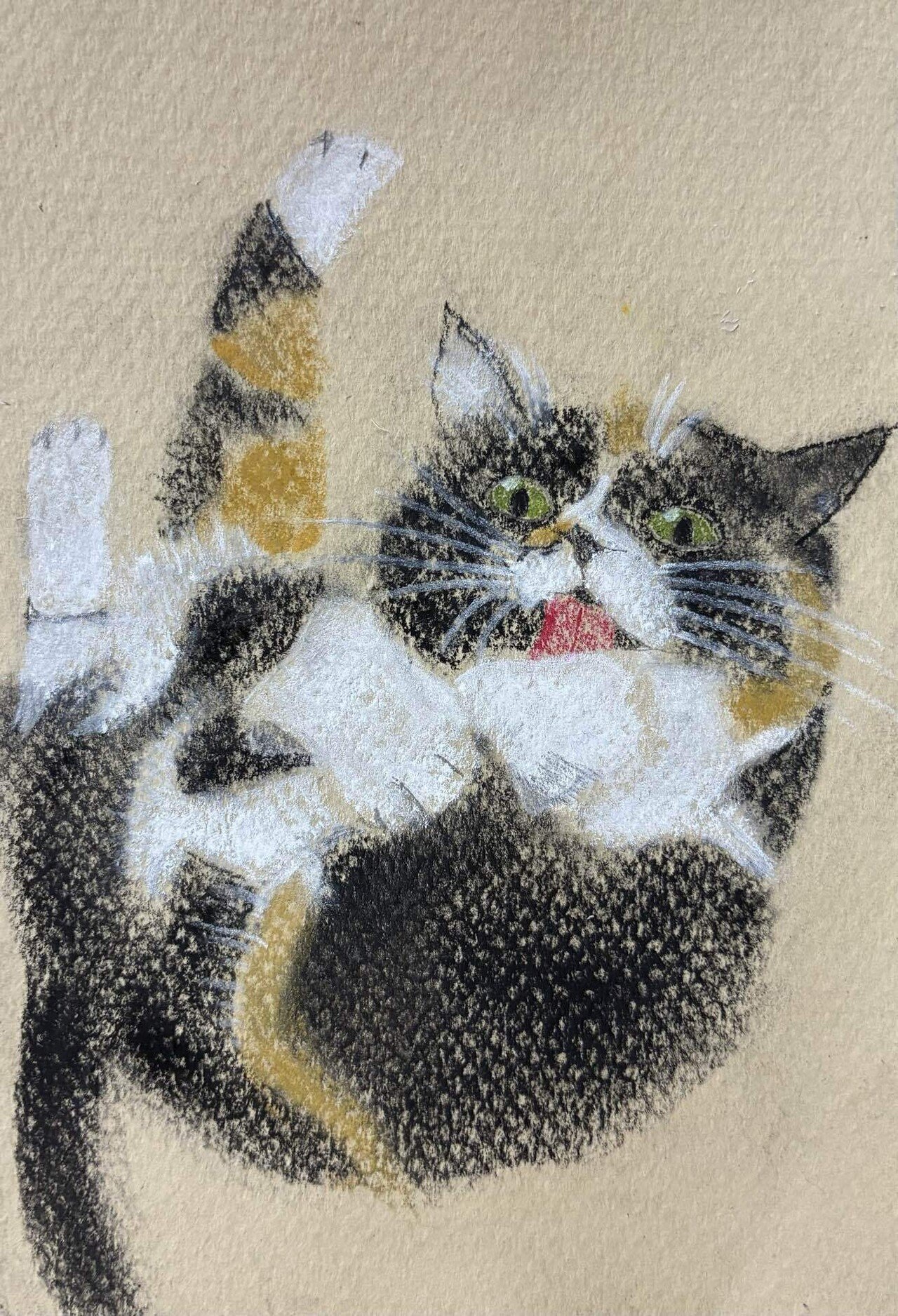 三毛猫のパステル画です。｜まる
