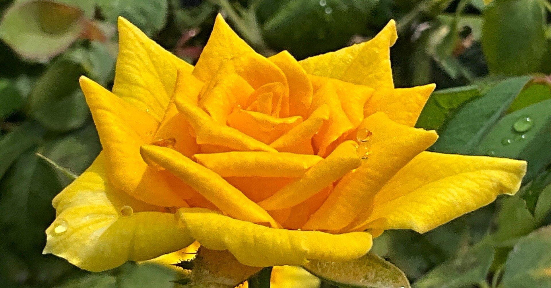 8ab33206fbfbe53e07a665b8ae0827