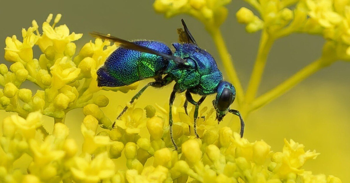 58e9dcbf790592129029a0a743bdfb