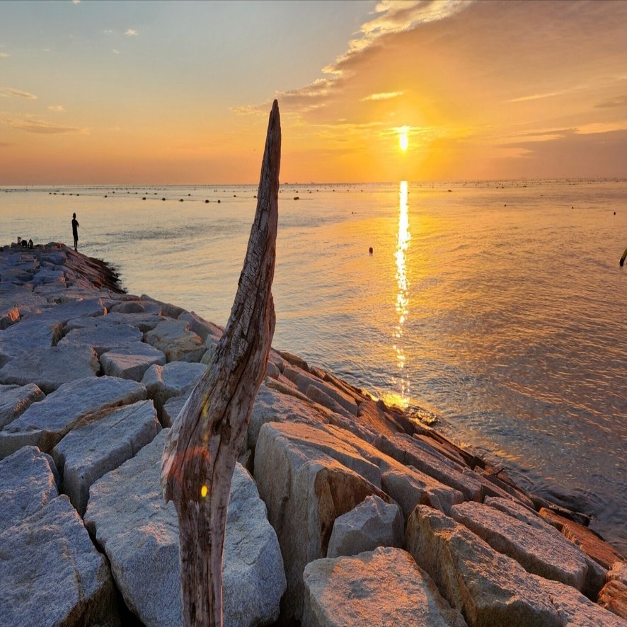 夕焼けが消えた日｜西岡泉
