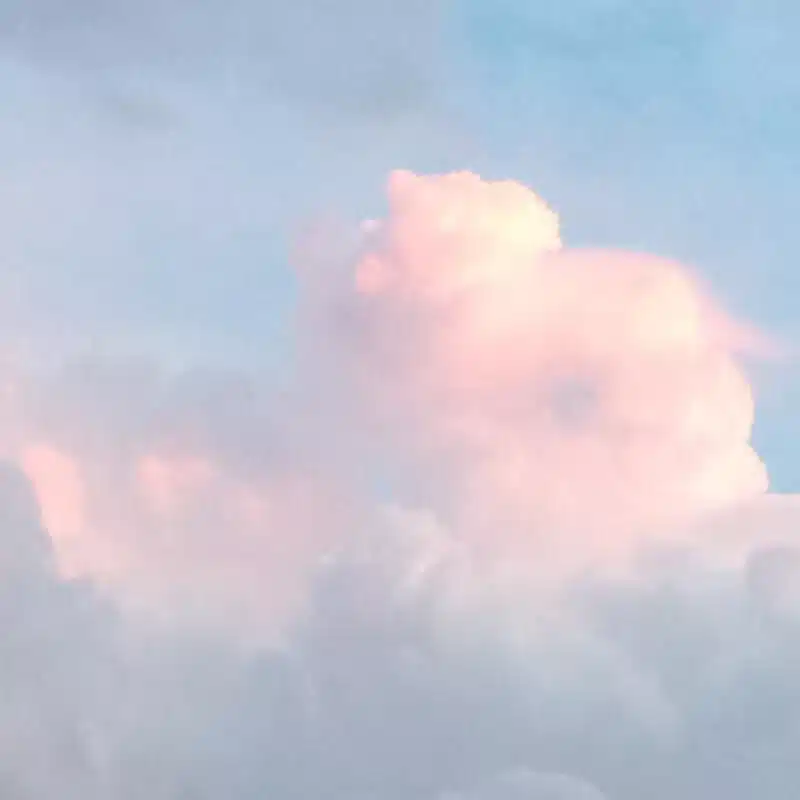 ちのり