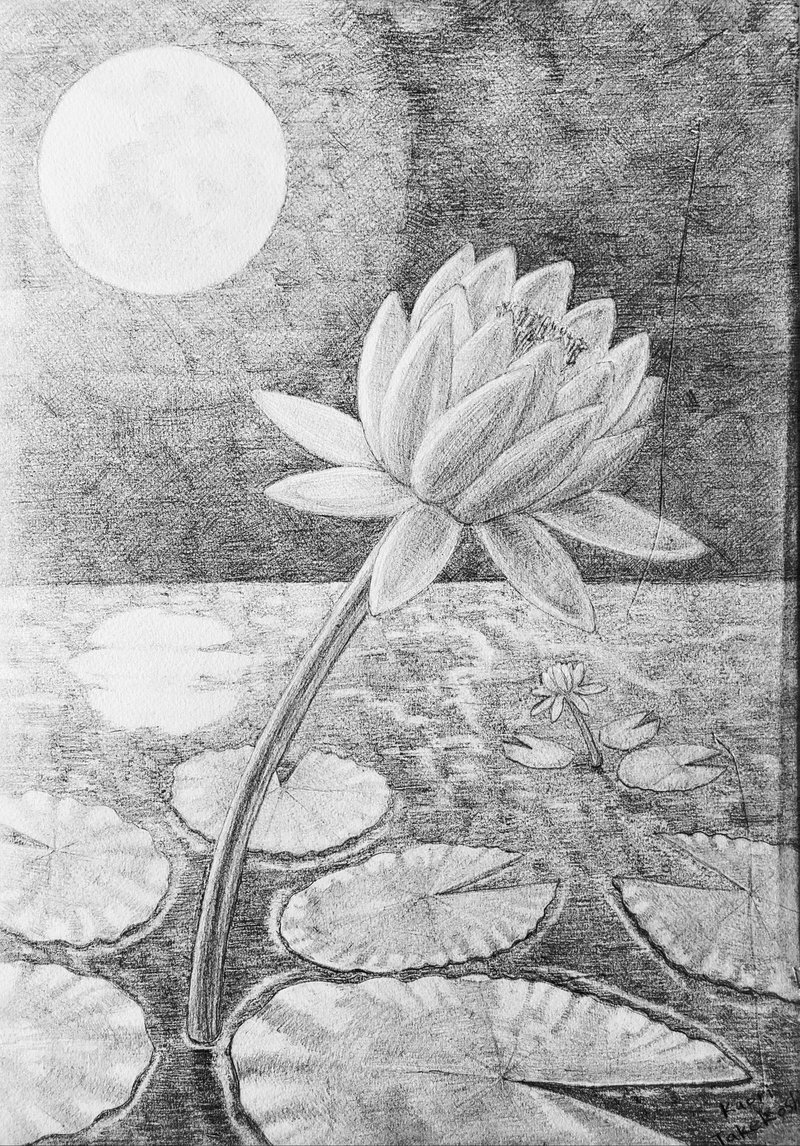 月と睡蓮 鉛筆画 夢咲香織 Note