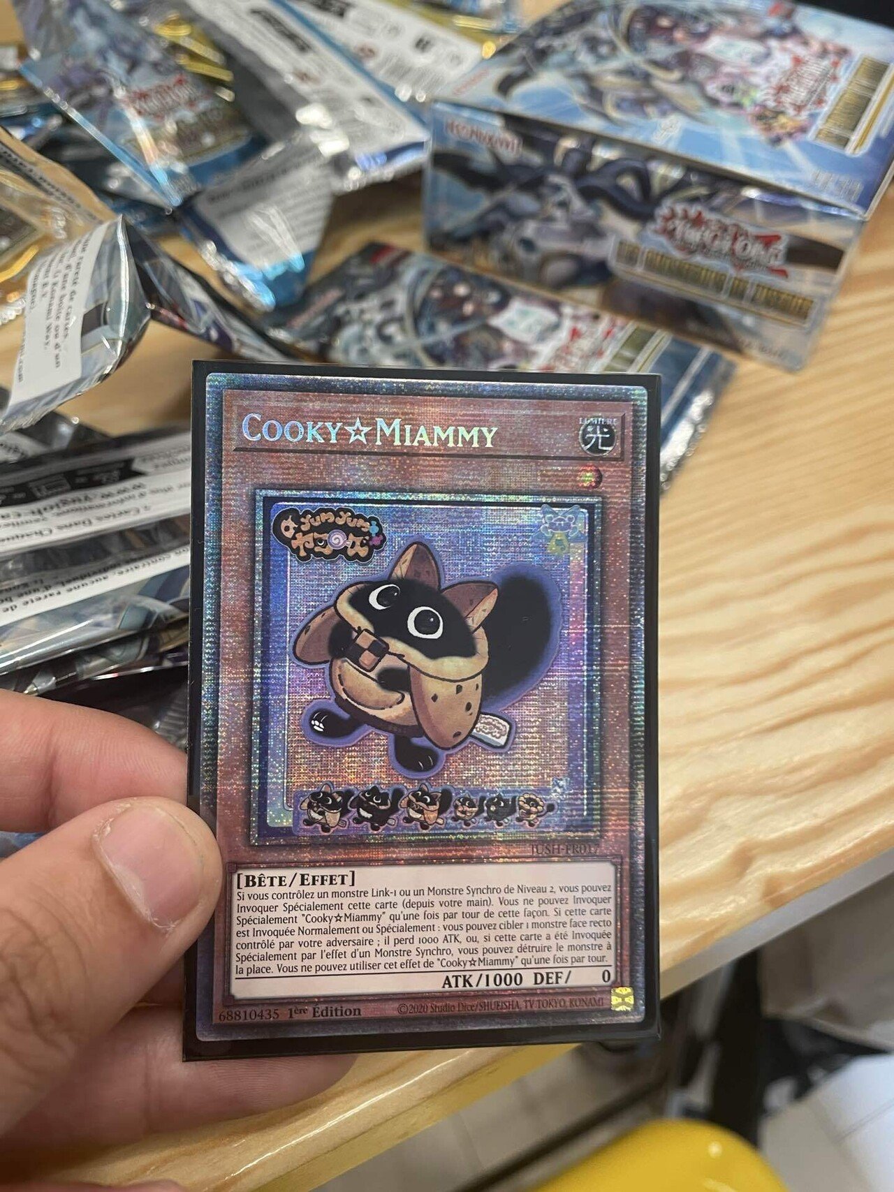 遊戯王　公式　wcs2025 ダイス　パリ　世界大会　選手 遊戯王 公式 wcs2025 ダイス パリ 世界大会 選手 遊戯王 公式