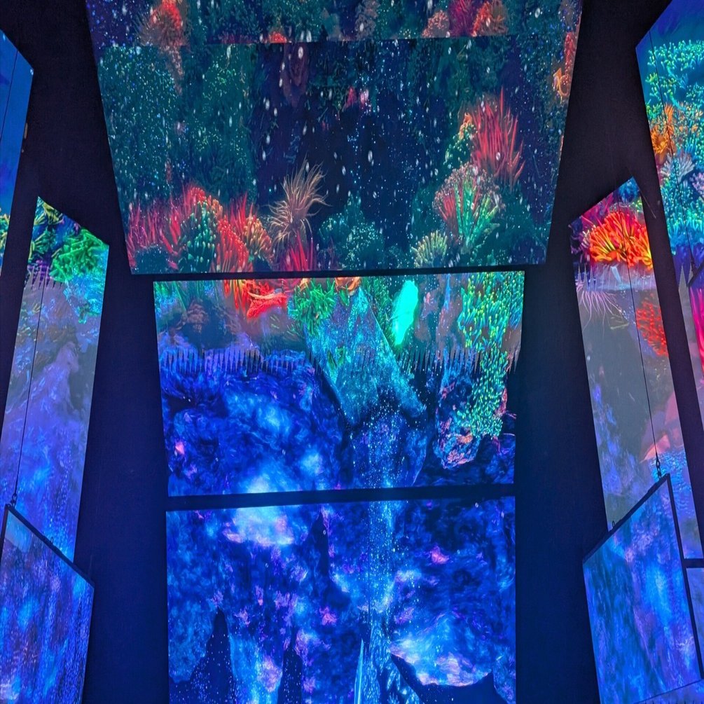 大阪万博で行ったパビリオン#7｜オーストラリア🇦🇺｜shima｜旅行と