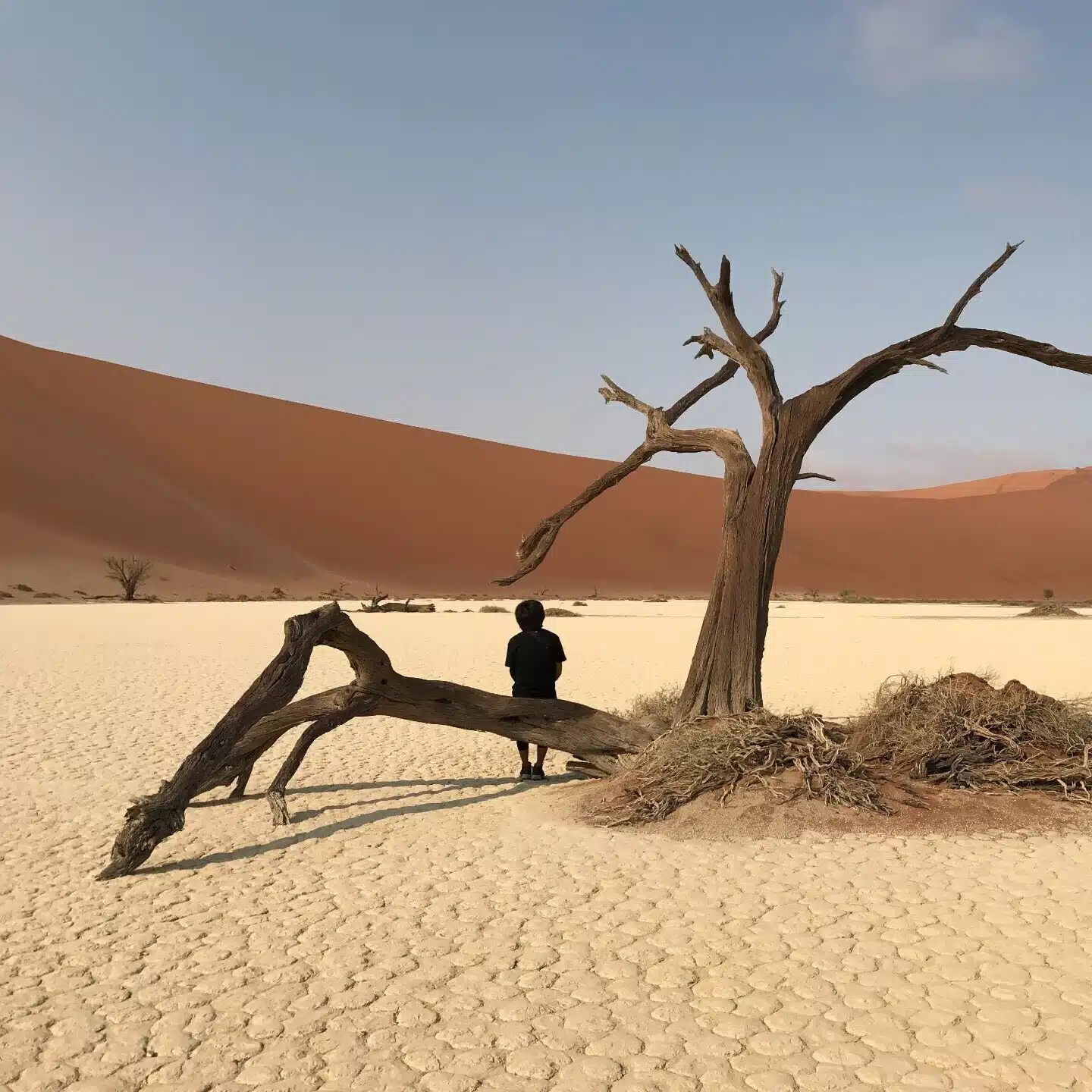 ぽんぱら | 🌎旅人×📈兼業投資家