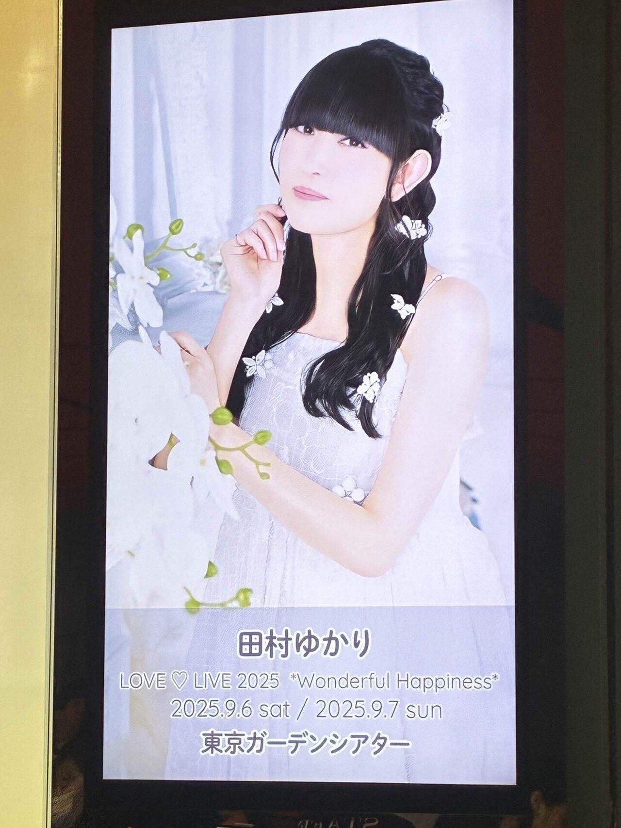 田村ゆかり LOVE ♡ LIVE 2025 Wonderful Happiness 参戦レポ