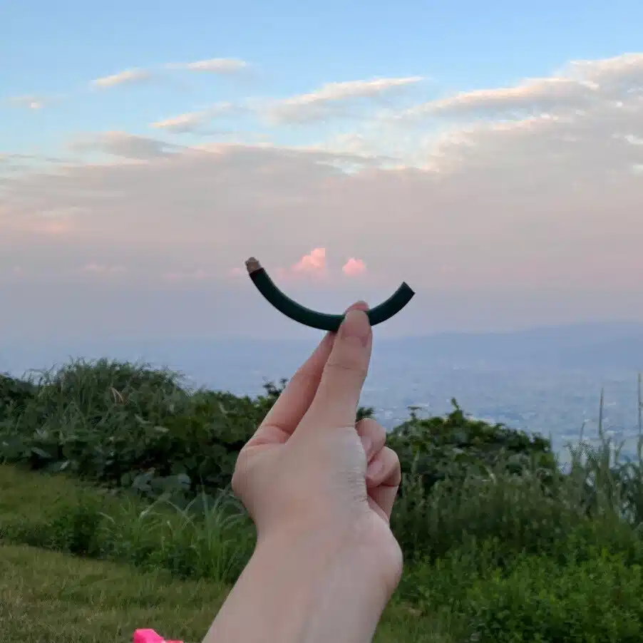 しにふぃえ