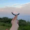 しにふぃえ