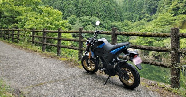 バイクポーター for TT Qbicle BIKE PORTER TT｜デブだけど…走り 泳ぎ 登り 乗り 弾き