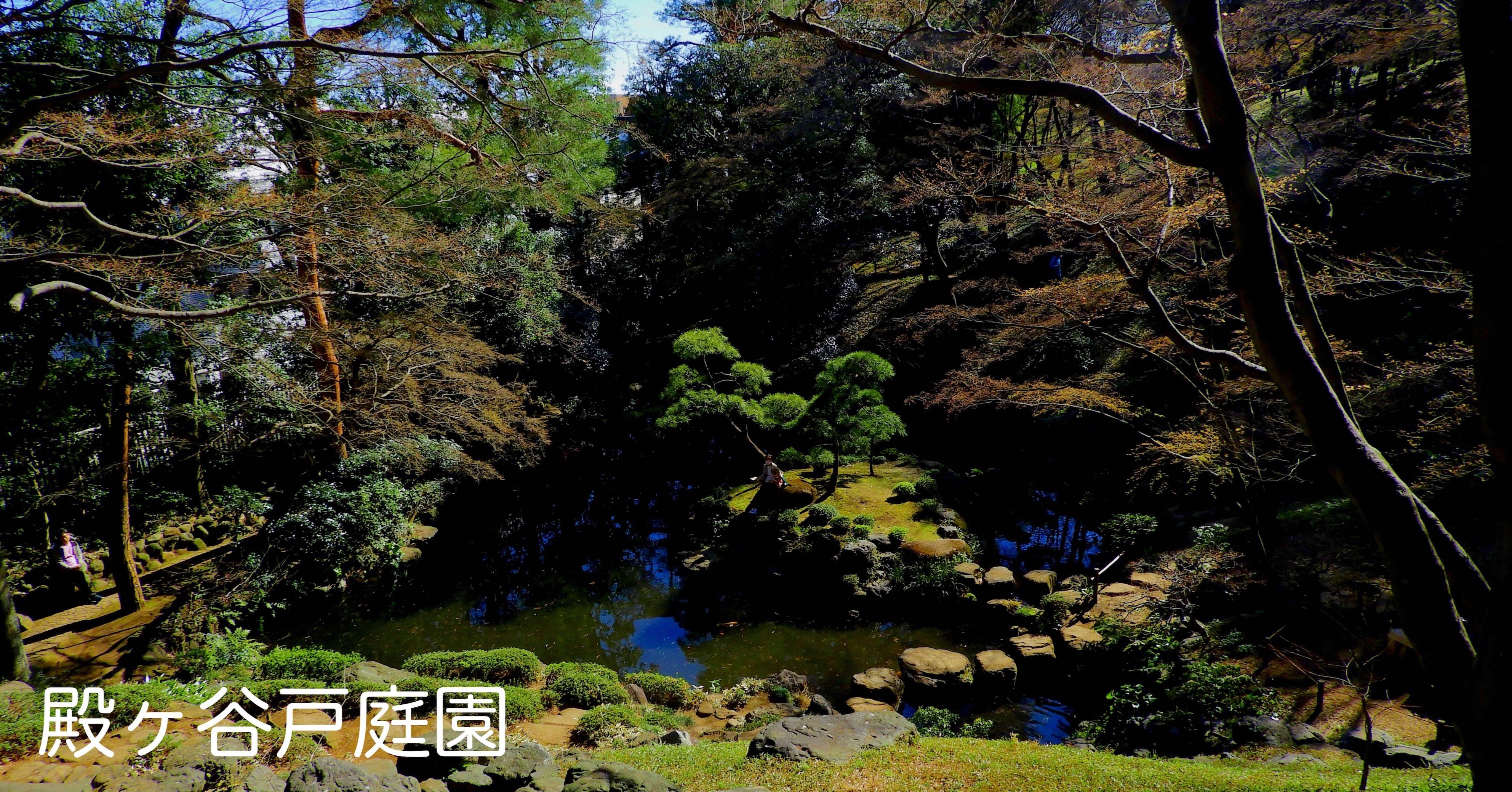 be5815a73cb5c0a17515ea22973d12