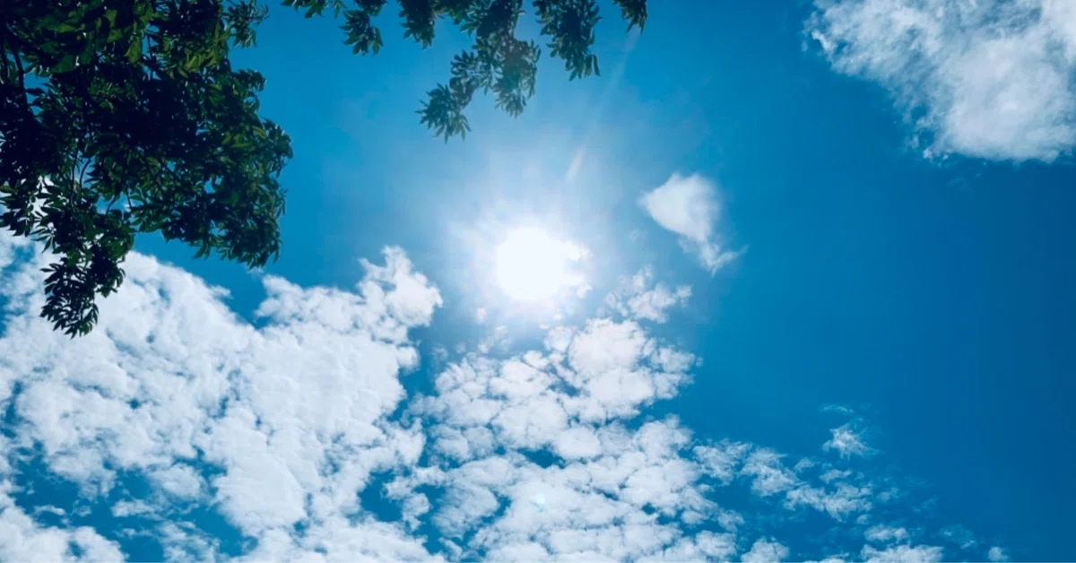 Even as the Autumn Rain Front Moves South, It's a Scorching Monday｜凪 （なぎ）