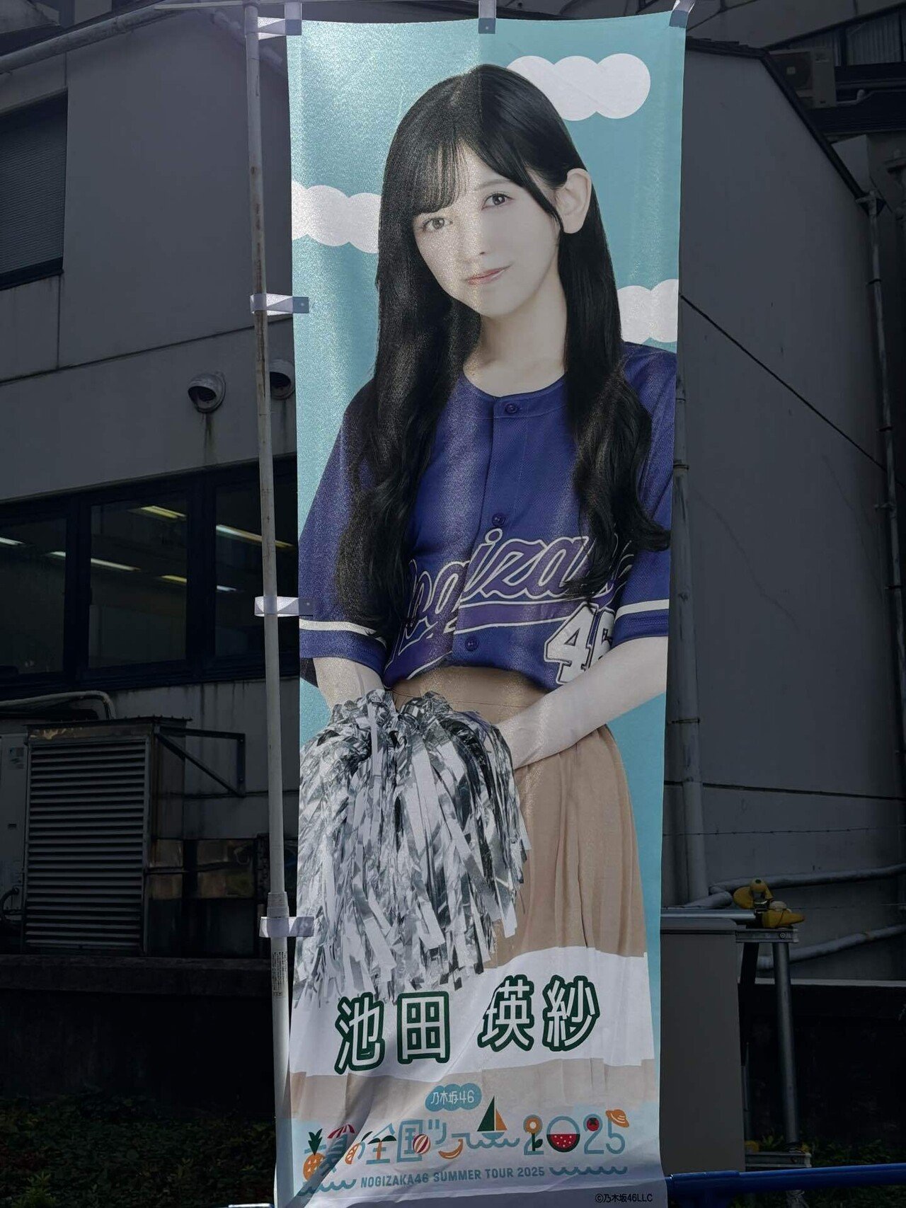 乃木坂46】真夏の全国ツアー2025 神宮 4日目 現地｜ニカスのまるぴ