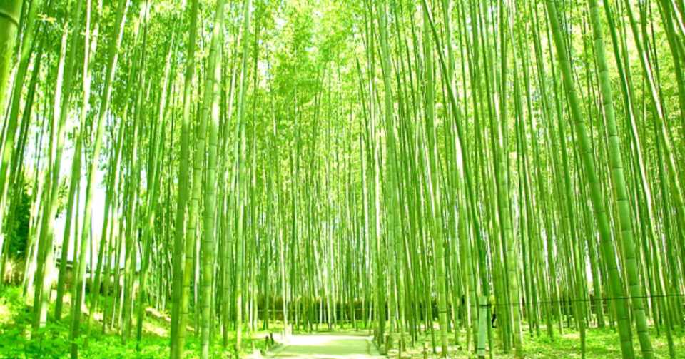 違いを前提として 英語から見た日本社会 やす 日本酒 Note