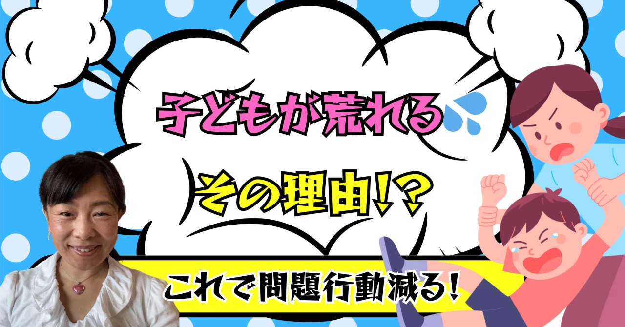 子どもが荒れる理由ー親御さんドキッとしますー|細井晴代