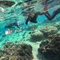 しろさき一家の旅行記ブログ|家族で旅行におすすめ!国内の子連れ旅行なら