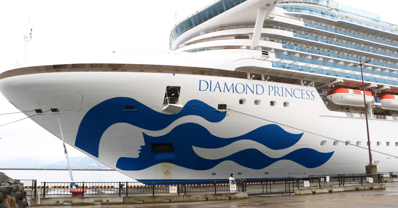 The Ultimate Guide to the Diamond Princess! A Thorough Explanation of ...