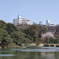 カフェ・バー開業】ラストオーダーの時刻は何を意味するのか｜コマッチ 