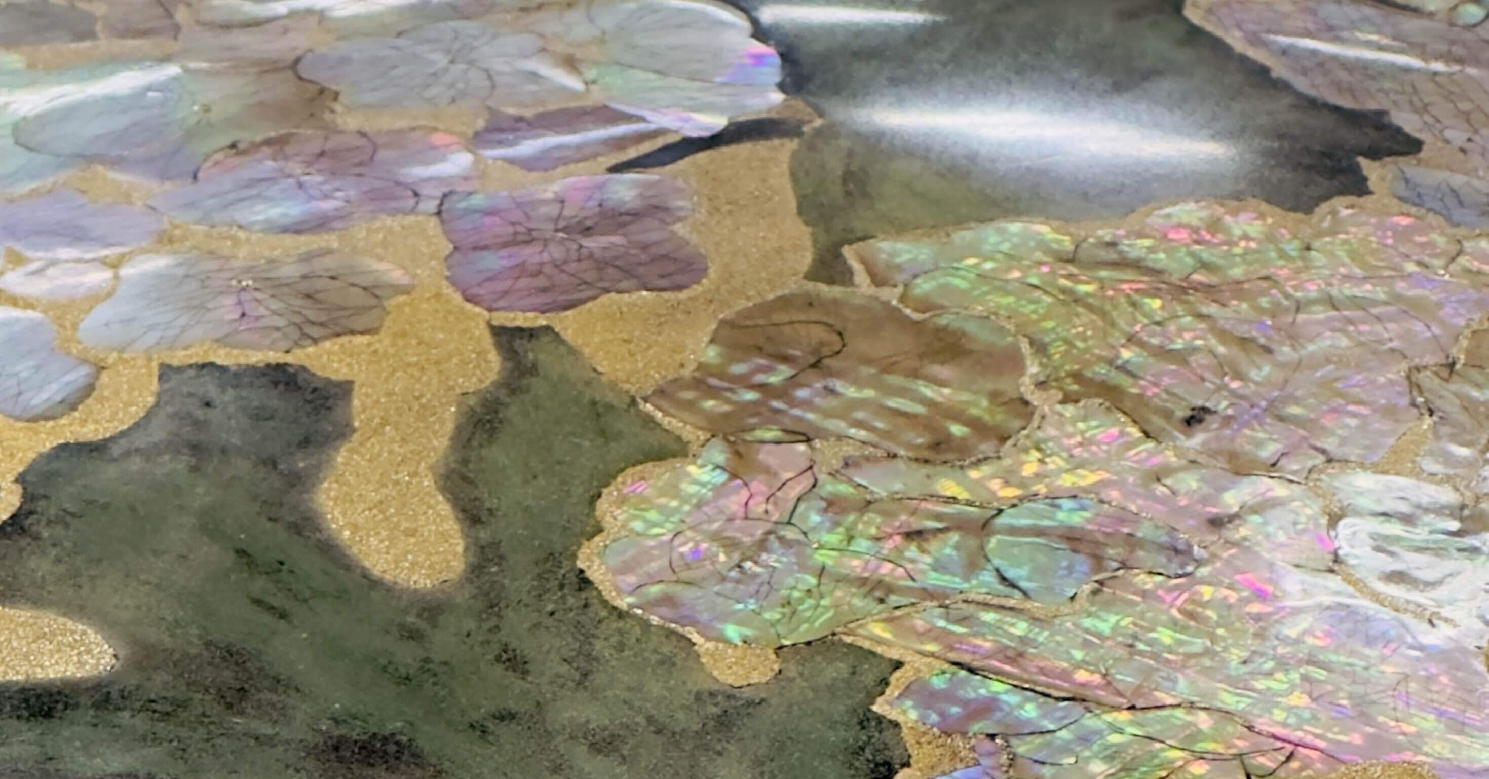 日本伝統工芸展」【漆3】｜YK_ukasagi