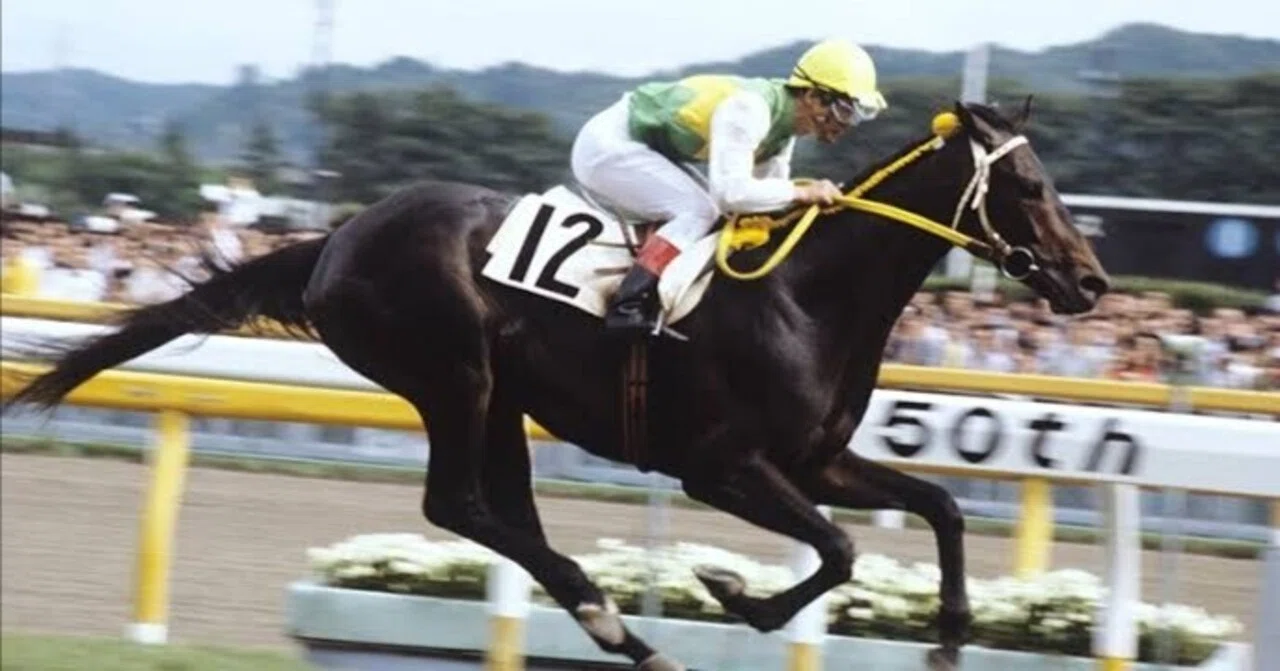 競馬　三冠馬ミスターシービー　ダービー　ペンダント ウマ娘』でも描かれるカリスマ性 常識を覆す型破りな走りで史上3頭目