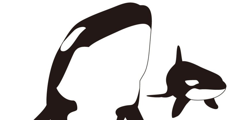 魚がすき 特にシャチ Orca Note