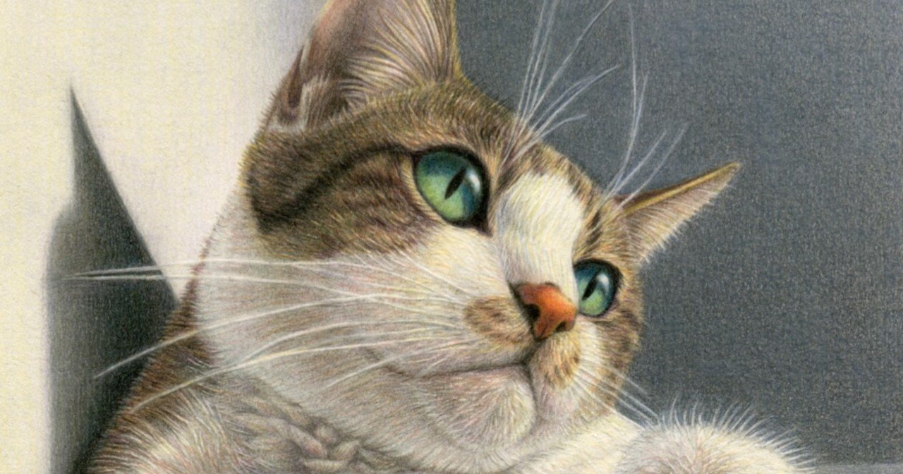 作品名: 猫 /色鉛筆画 /ケント紙 /B5サイズ /原画 作品名: 猫 /色鉛筆画 /ケント紙 /B5サイズ /原画