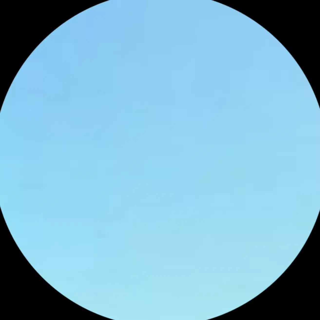 こっしー