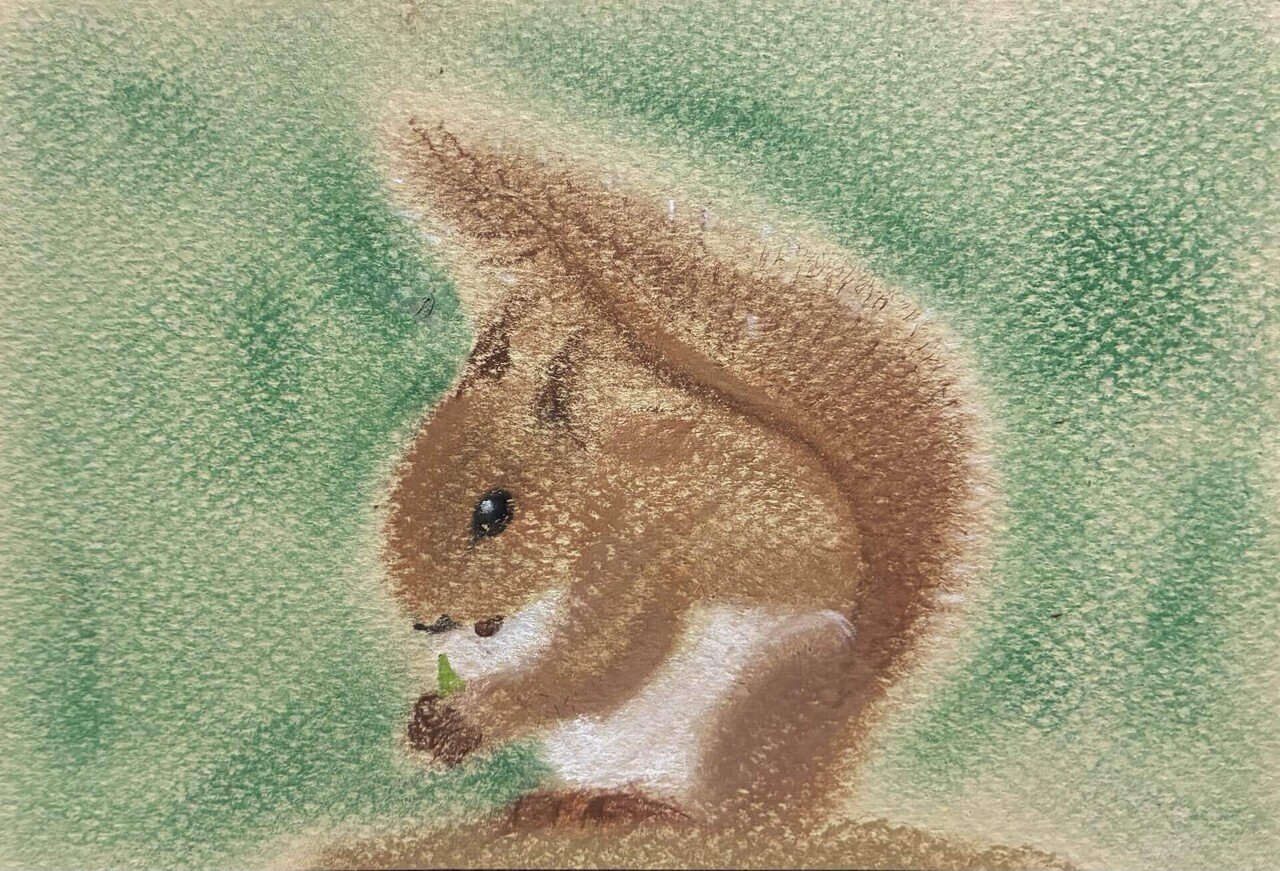 リスのパステル画です。｜まる