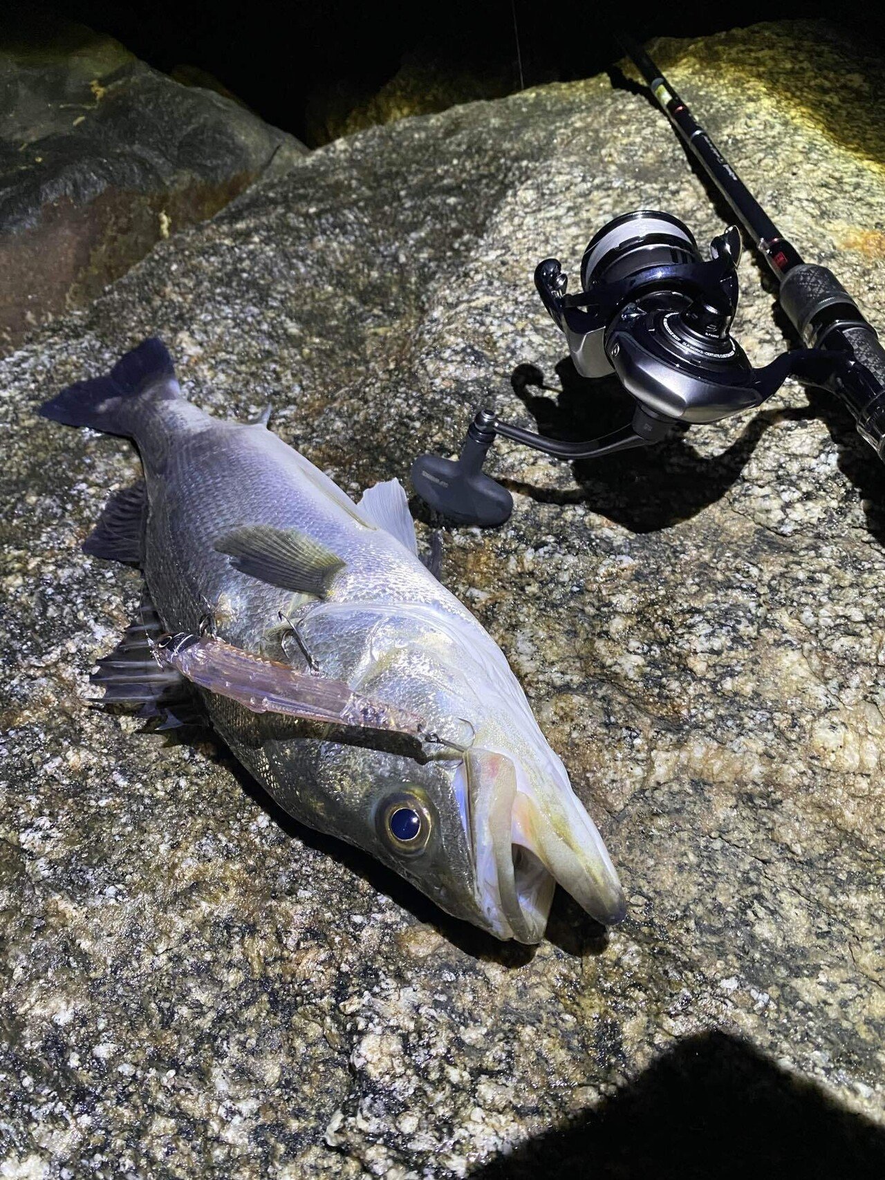 天龍 SWAT SW972S-ML OCさん専用 天龍の新SWAT『SW972S-ML』をインプレ！大人気シーバスロッドは北海道