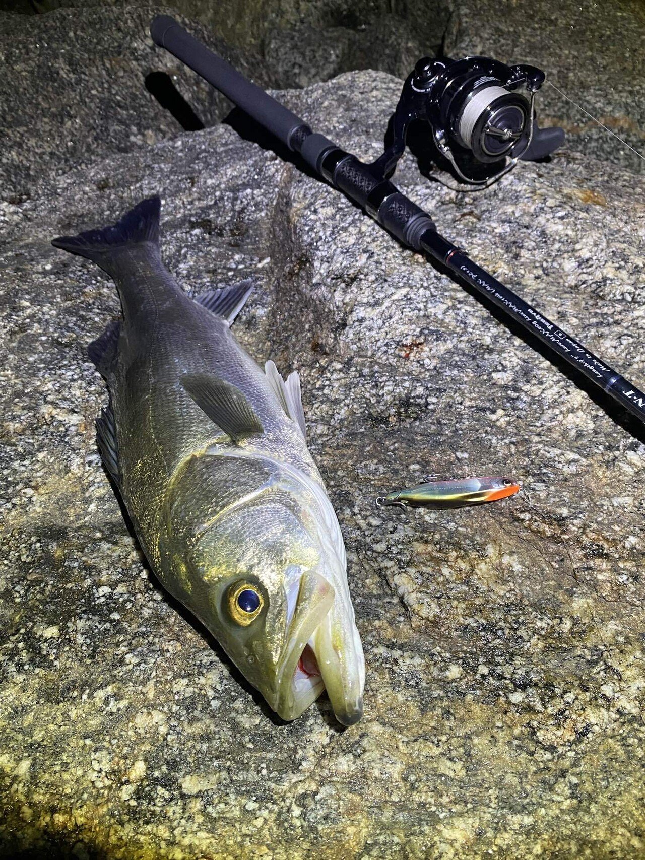 テンリュウ （天龍）SWAT SW972S-MLは本当に“Distance”の名に