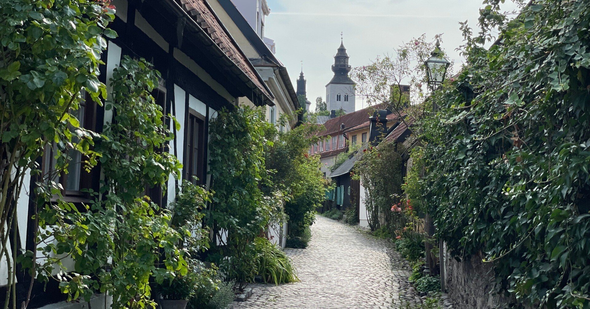 ヨルシカ】ストーリー解説 エイミーとエルマ<前編>|月宵 ヨルシカ】ストーリー解説 エイミーとエルマ<前編>|月宵