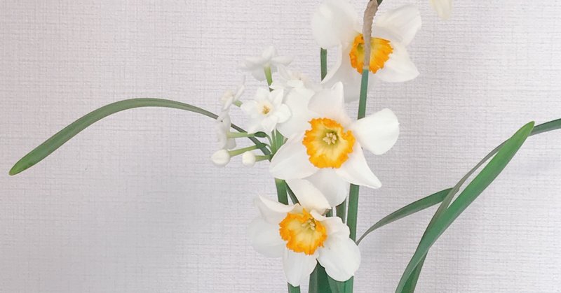 季節の花 春 水仙 さや Note