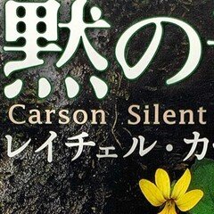 Hello Kitty展｜hajikko