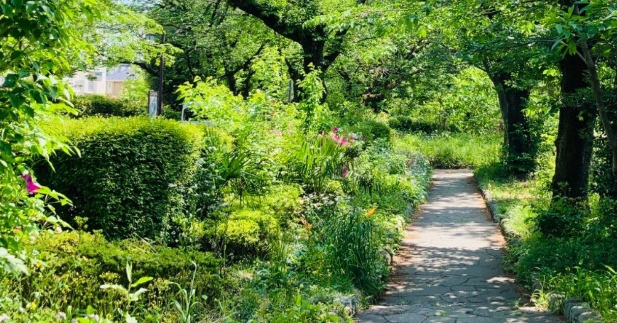 前に向かってすすもうよ！｜Tree Home Church (ツリーホームチァ