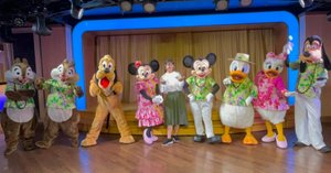 ディズニークルーズライン　ワンピース　アロハ ディズニークルーズライン ワンピース アロハ 全キャラ紹介