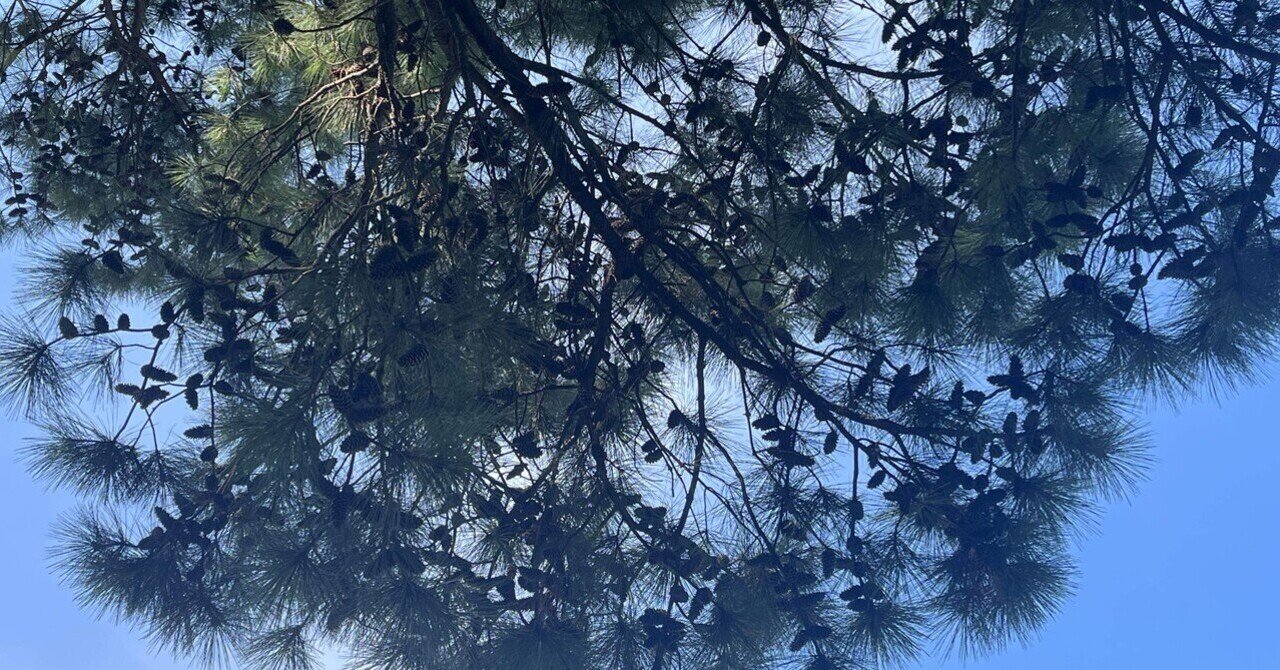 駿台日本史科講師・須藤 公博について ~指導法・イデオロギー的