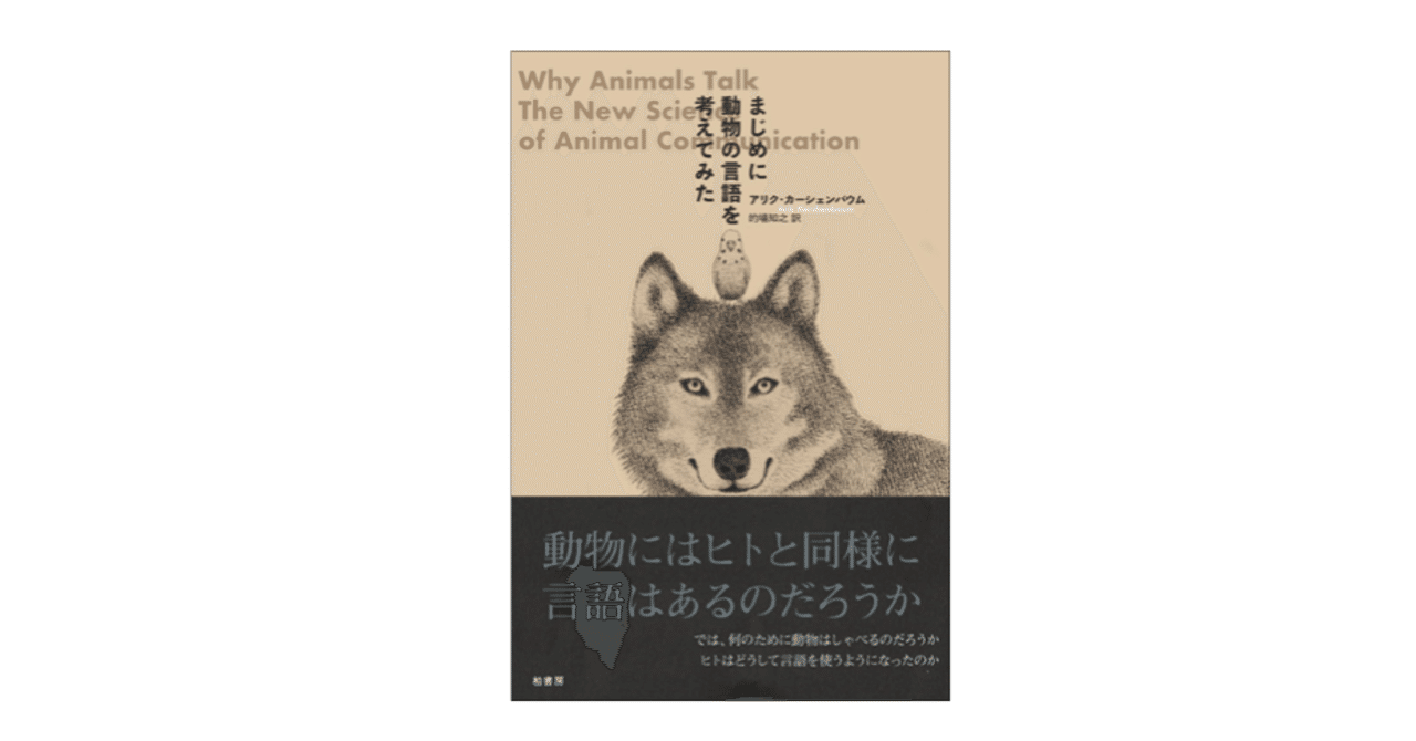 ●【訳アリ】　Tundra　他言語　１枚 ○【訳アリ】 Tundra 他言語 1枚 ○【訳アリ】 Tundra 他言語 1枚