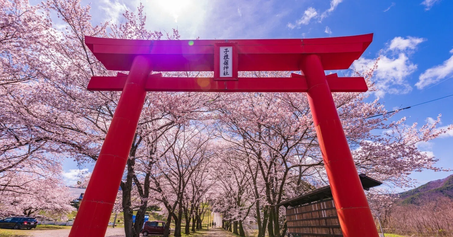 長野県上田市武石村の子檀嶺神社が全国カレンダーになるよ°˖☆◝(⁰▿⁰